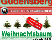 Feuerwehr Gudensberg Weihnachtsbaum Verkauf 2023