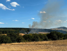Einsatz, 02.08.2026, 17:01 Uhr, F Wald 2